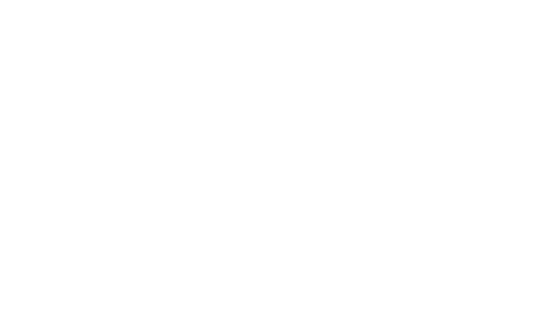 Riga Tiger logo